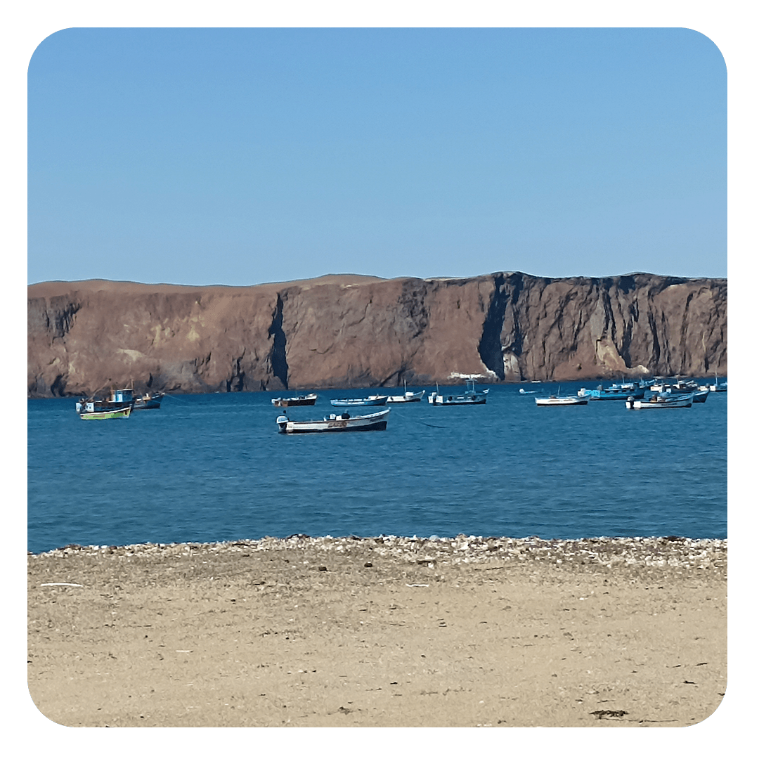 Islas Ballestas Paracas