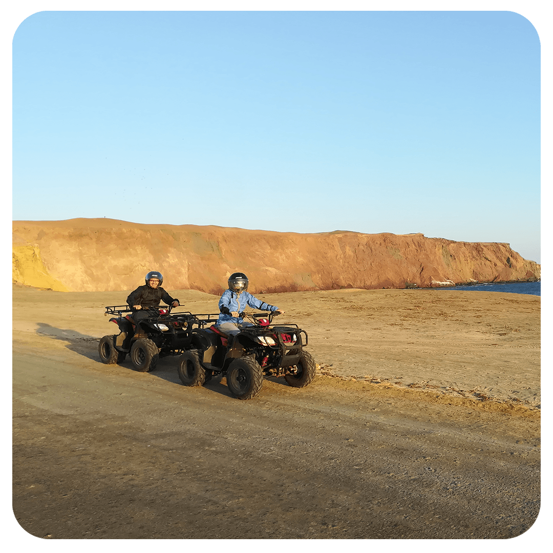 Reserva Nacional de Paracas