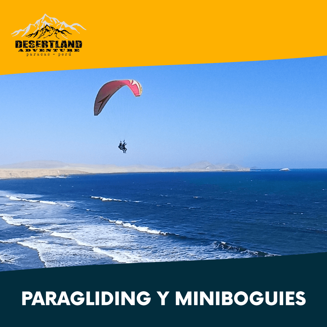 Golden Expedition Paracas