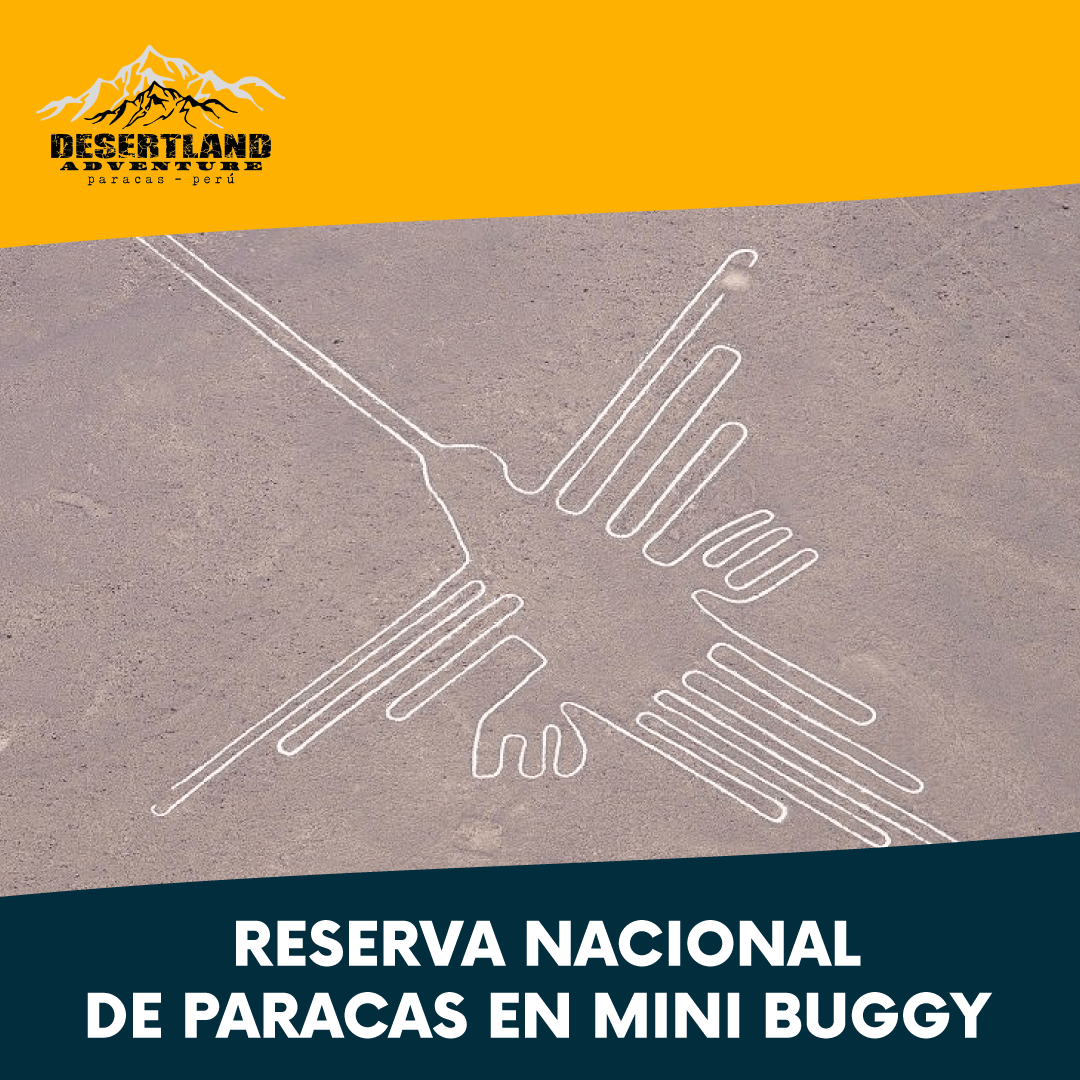 Sandboarding en Huacachina